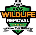 https://tampa.aaacwildliferemoval.com/wp-content/uploads/sites/34/2020/02/Logo-1.png
