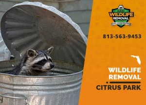 Citrus Park Wildlife Removal professional removing pest animal