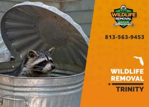 Trinity Wildlife Removal professional removing pest animal