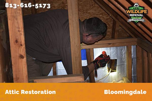Attic Restoration Bloomingdale