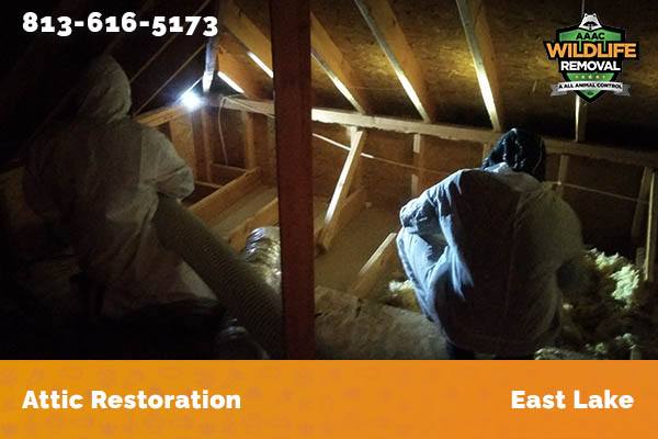 Attic Restoration East Lake