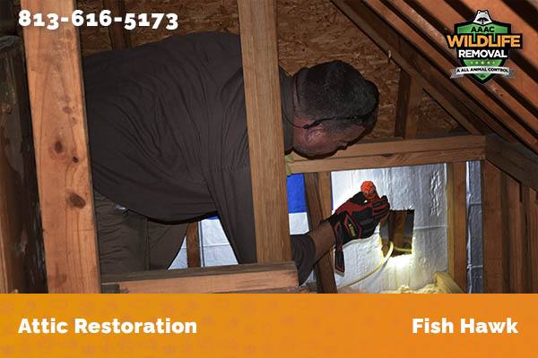Attic Restoration Fish Hawk