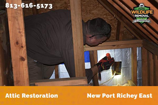 Attic Restoration New Port Richey East