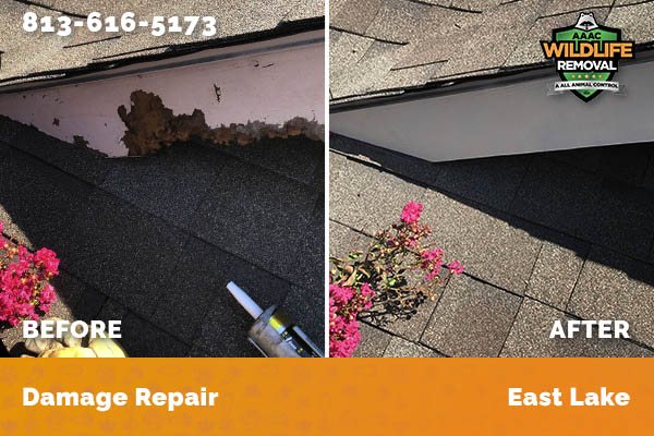 Damage Repair East Lake